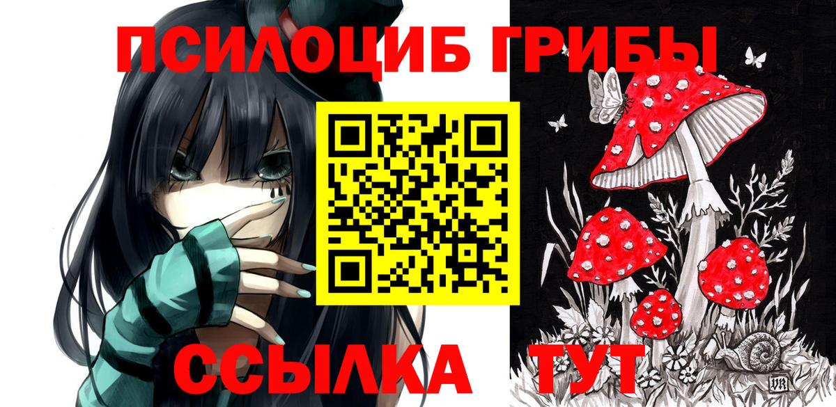 Галлюциногенные грибы прущие грибы Заводоуковск