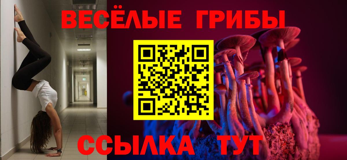 Галлюциногенные грибы ЛСД  Вход с VPN  Заводоуковск 